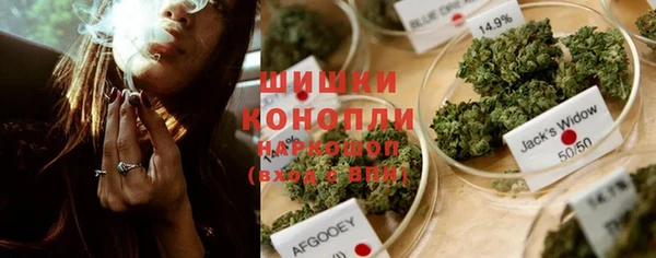 spice Богородицк